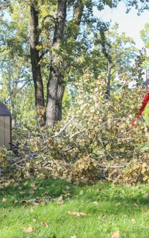 Lot Cleaning