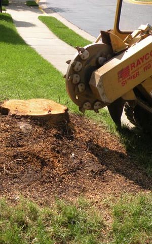 Stump Grinding