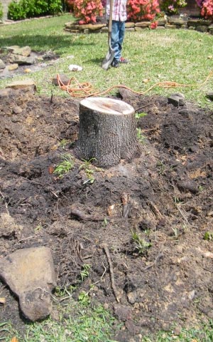 Stump Removal